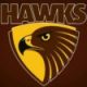 hawks logo